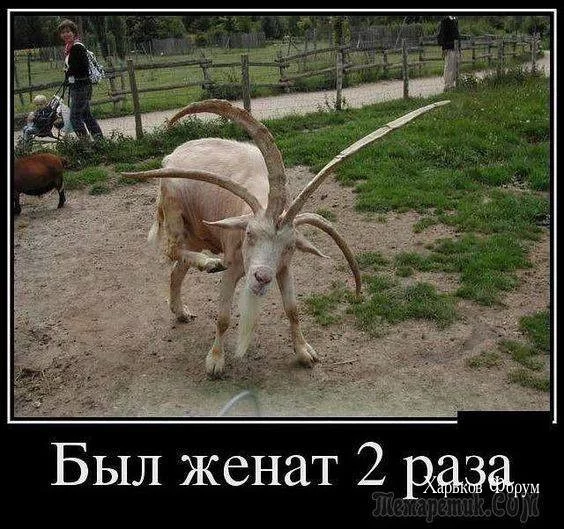 8029c43e5710ad2f6e3ec.webp