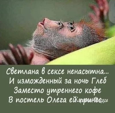 803f647d22cb63906cf4.webp