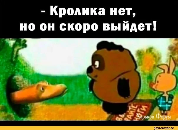 804abd8be4651f6cf11fee5f.webp