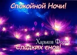 804f2d925c11349279d.webp