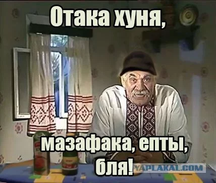 8057595.webp