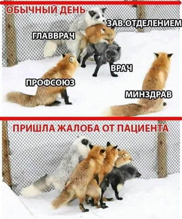 80619c439f9f02a49b8e0e.jpg