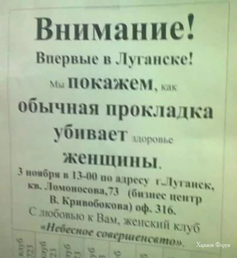 80657519ea23515a22703d.webp