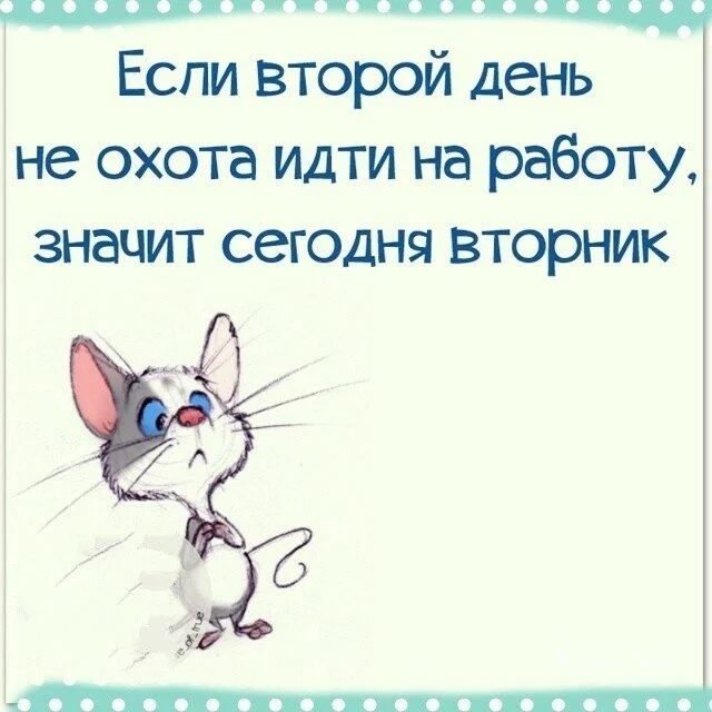 806e7872adbb36be29e45ba.webp
