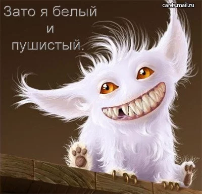 8073469_39belpyysist.webp