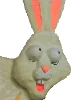 807542.webp