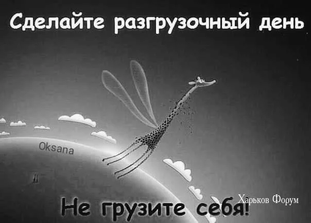 8077166766a2b7d0e67b6c0.webp