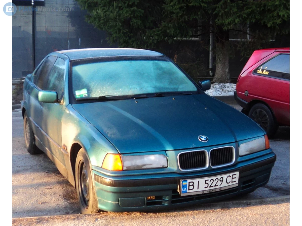 8081211.webp