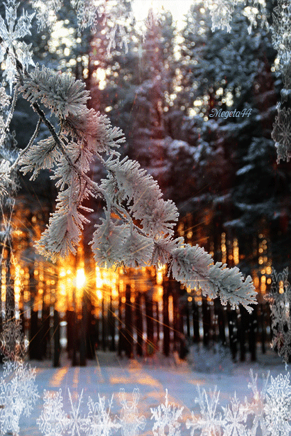 80986815d6bc537a497a61d5cc075b26.gif