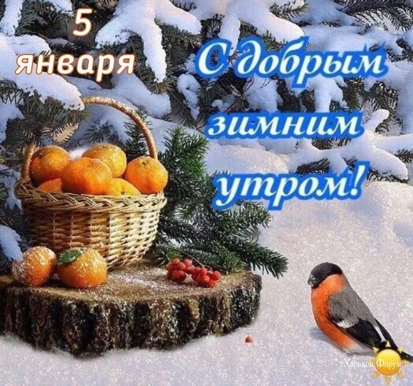 80a6cca0ddafaa0b.webp