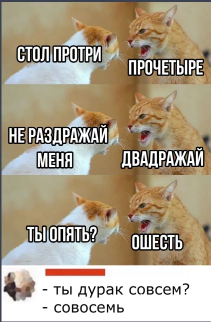 80aee5e63ea3c15db.webp
