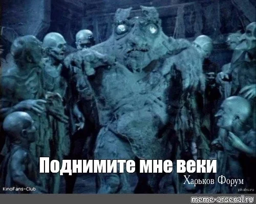 80b50002b3af3ae34b57393.webp