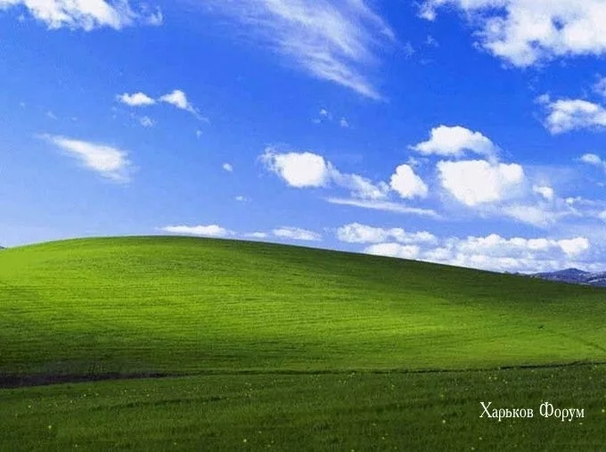 80b6d293b4ed3067460f8c0.webp
