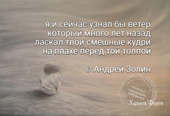 80c54c20f5731487.png