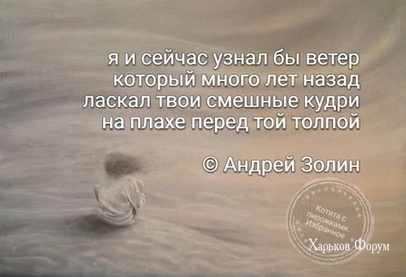 80c54c20f5731487.webp