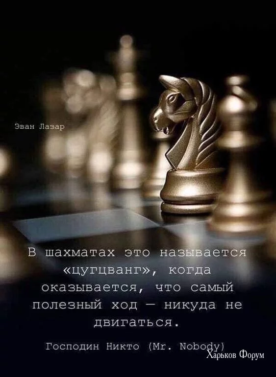 80c5e6eb97ac5807aa3caec.webp
