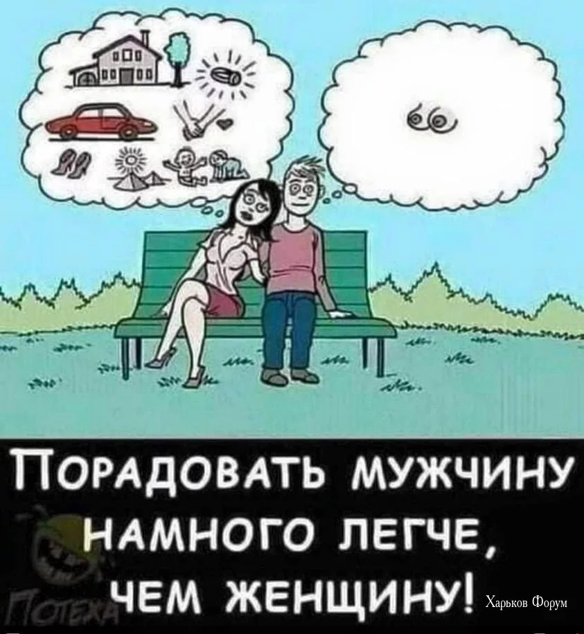 80c661a4a6bf4ea80f3718.webp
