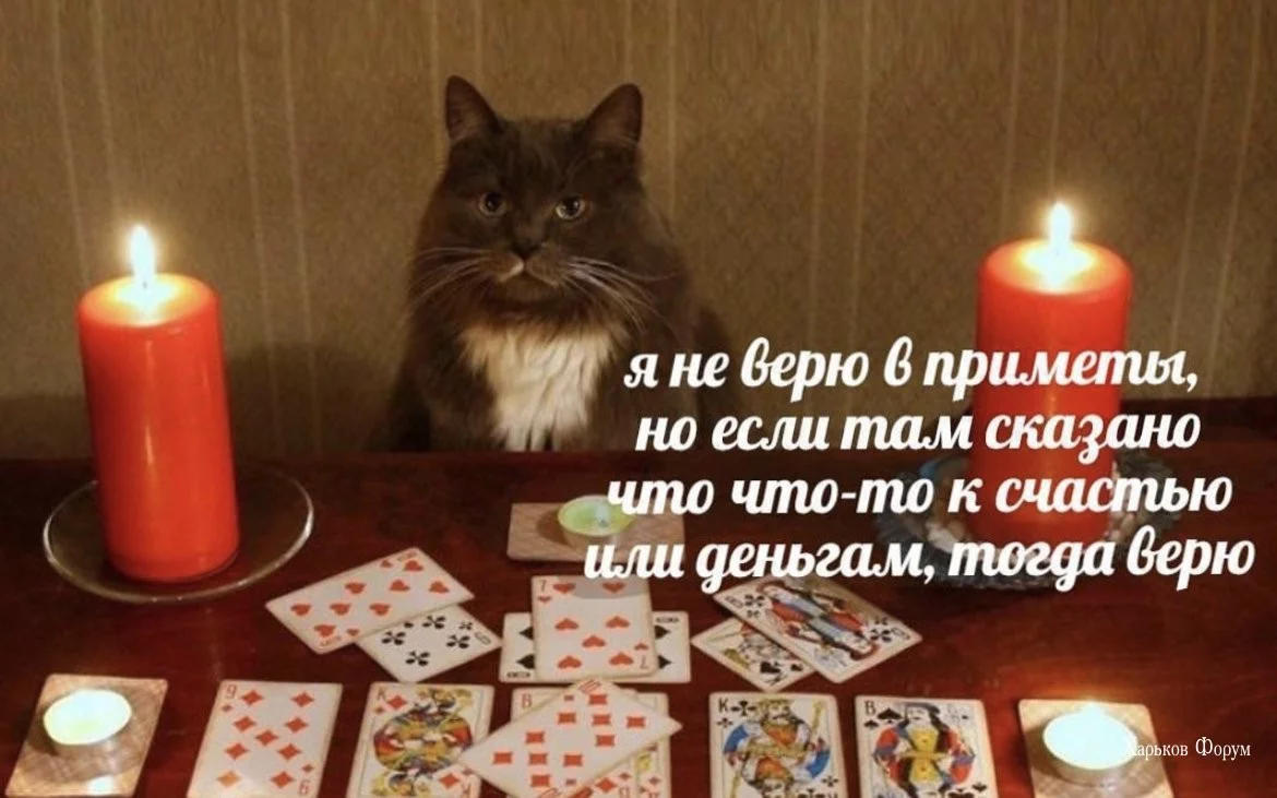 80cc363602e291ccfa8.webp