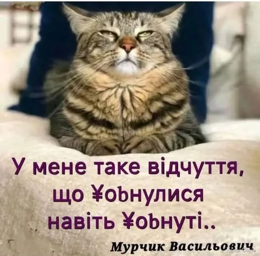 80d0NGt1QgbqUJc&_nc_zt=23&_nc_ht=scontent.fiev25-2.webp