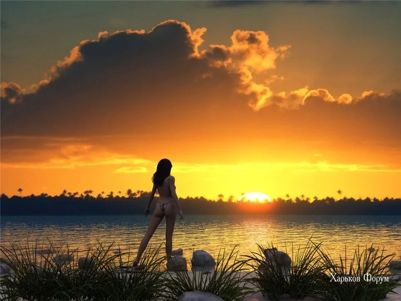80d8313d98355a6bea.webp