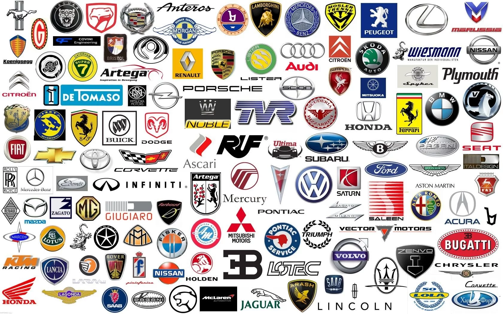 80dde302696fd295b.webp