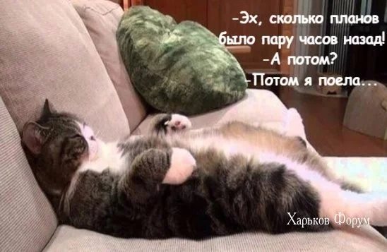 80e9fb11033014c4039ba.webp