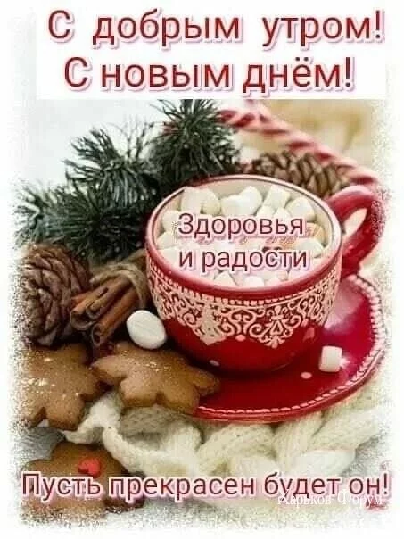80f3a027846daa56d788.webp