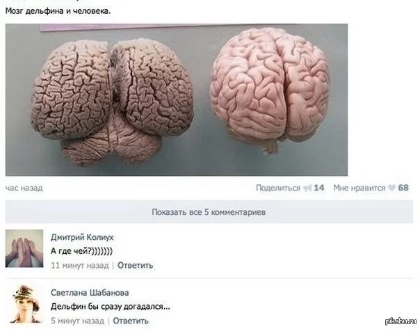 80f5bede39cdcd45a4651.webp