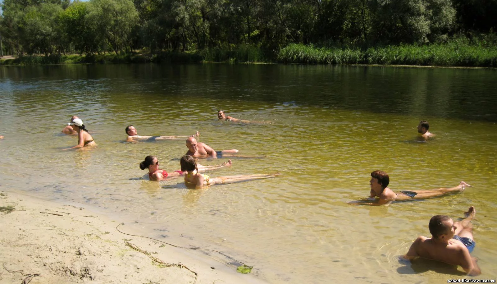 810585972.webp
