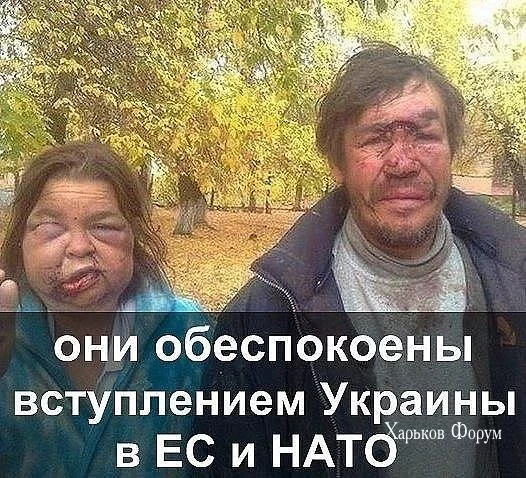 8114cb8dc07c5c1d497bf8de.webp