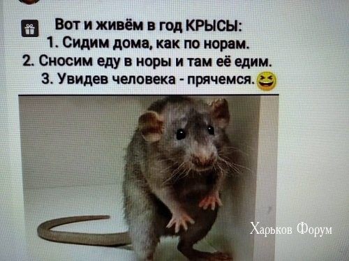 811561e98f8954c3.jpg