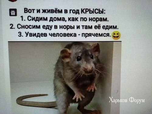 811561e98f8954c3.webp