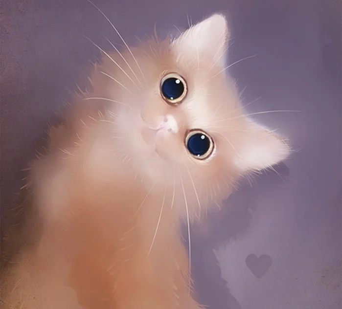 81163340_ad765387e4348e7a4d867fc0d4b1c4cad425uzk.webp