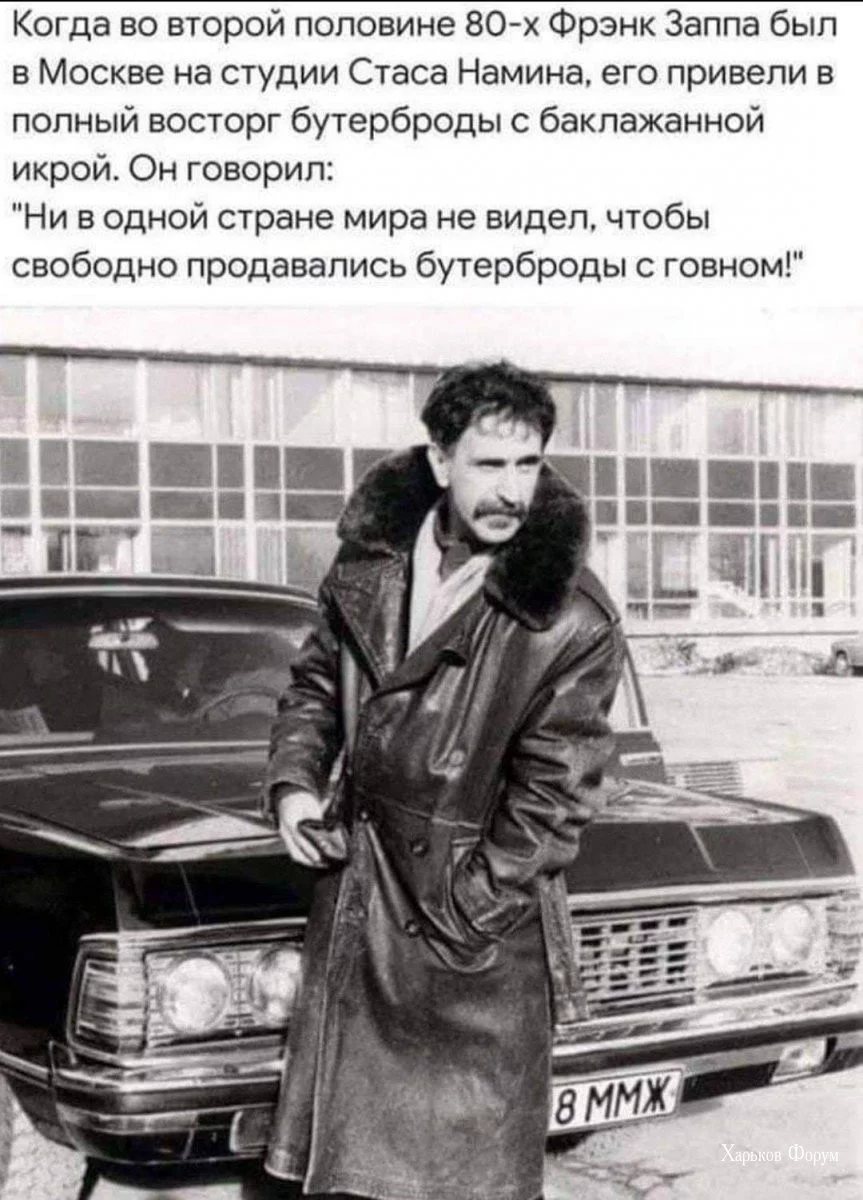 81186958dde84156.webp
