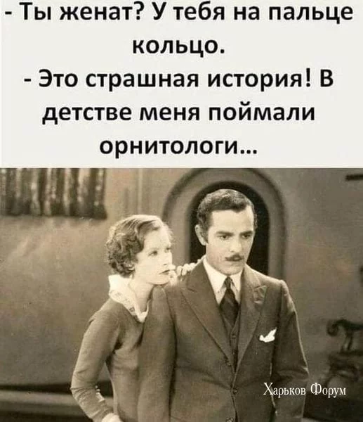 81287da2ecd5d5a2eddc94d.webp