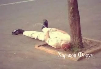 812e77432929e05c0.webp