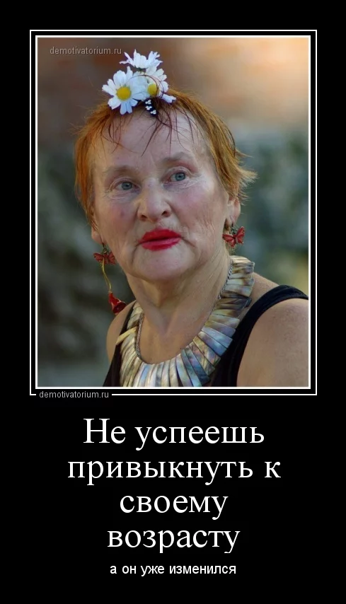 81402855.webp