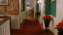 8142448e8f6eb185a92ef26.gif