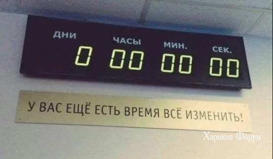 8146fef2ea2e51f8.webp