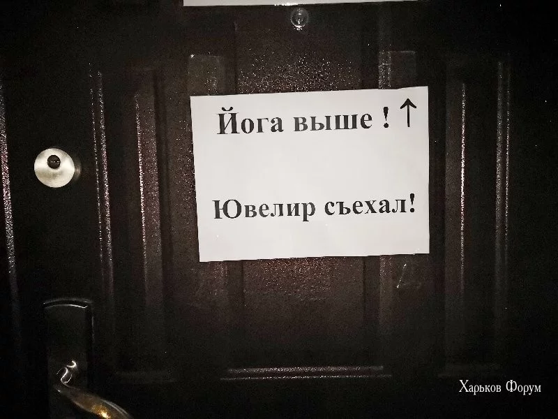 815b582b265e770cf5.webp