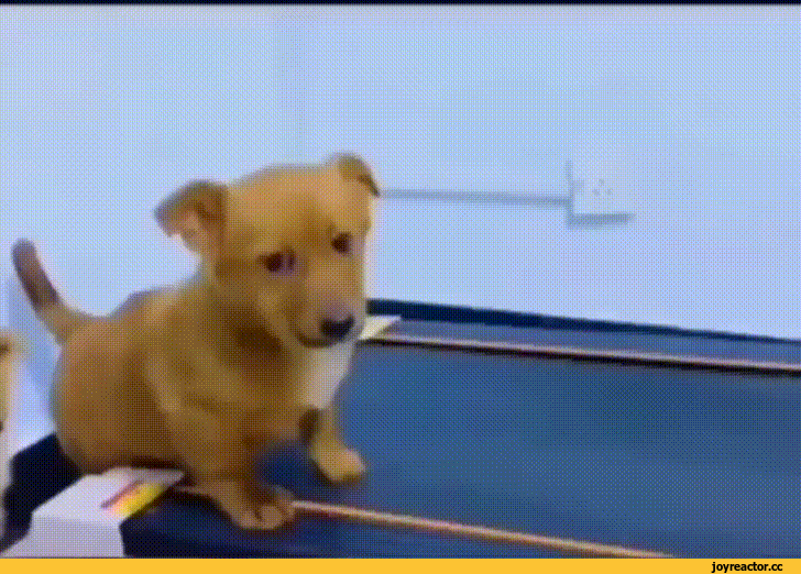815dbadcc156927a519470.gif