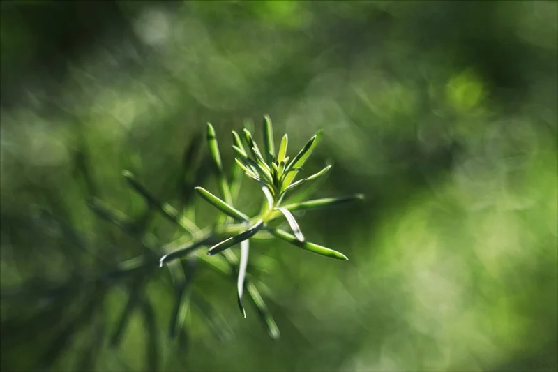 816356.webp