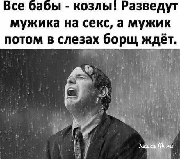 81766241ca6fc5ba8c5c.webp
