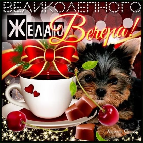 81774cd97d374a9d2.webp