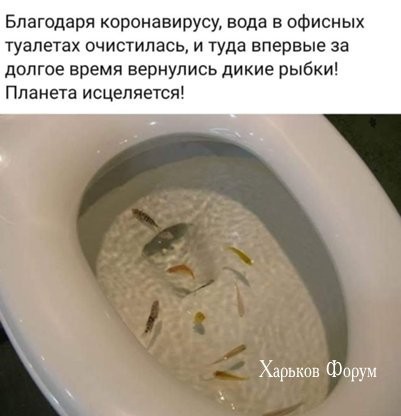 817d8d4ad360cd85.jpg