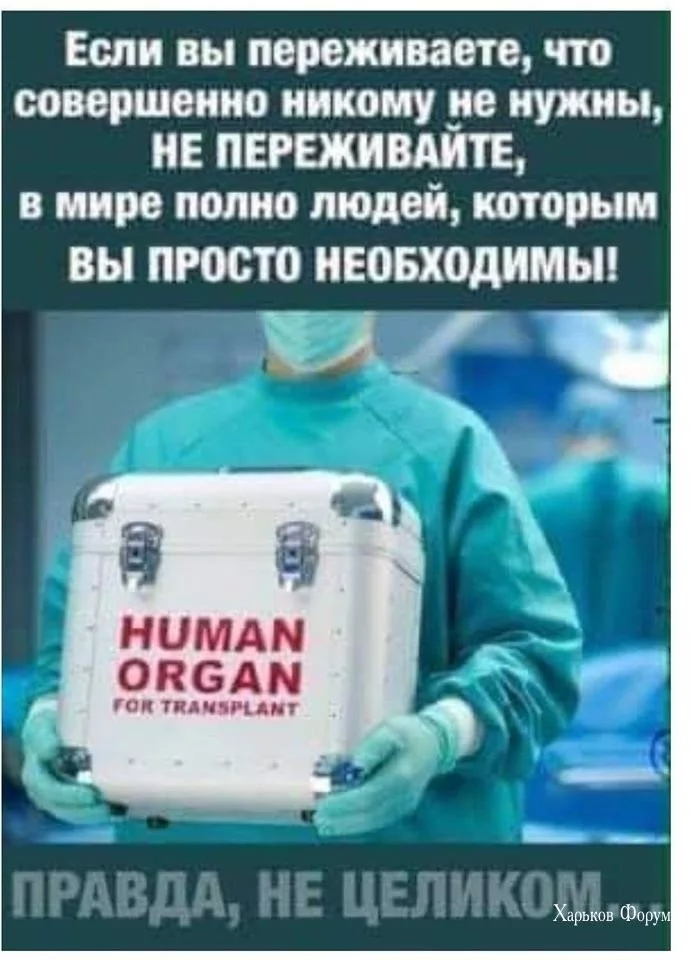81870340ae9c07fb91e.webp