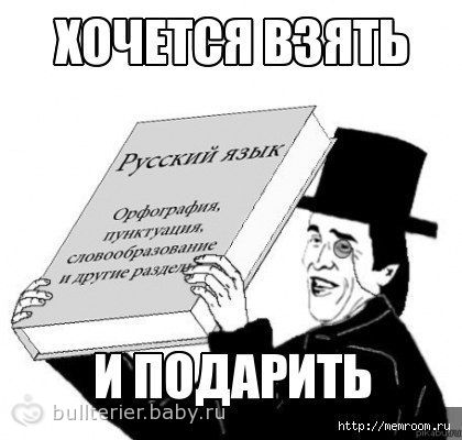 81897694.84279595.jpg