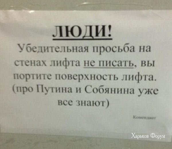 81a0a55f6da7fda98.jpg