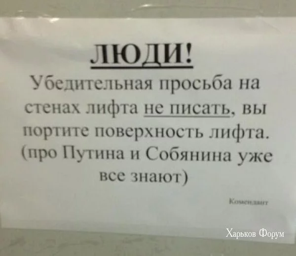 81a0a55f6da7fda98.webp