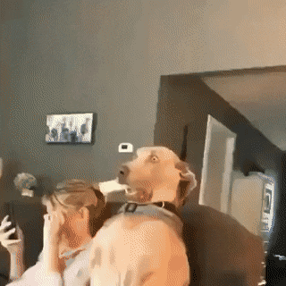81a14248778465d490fcaed.gif